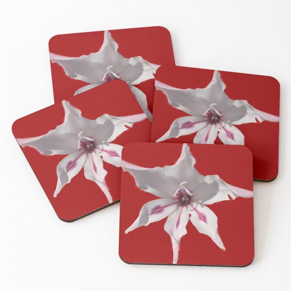 Item preview, Gladioli Blushing Bride designed and sold by PLANTONE.