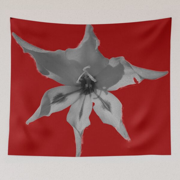 Item preview, Gladioli Blushing Bride Vanilla designed and sold by PLANTONE.