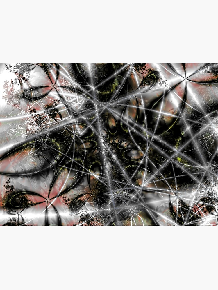 Spider Web by garretbohl