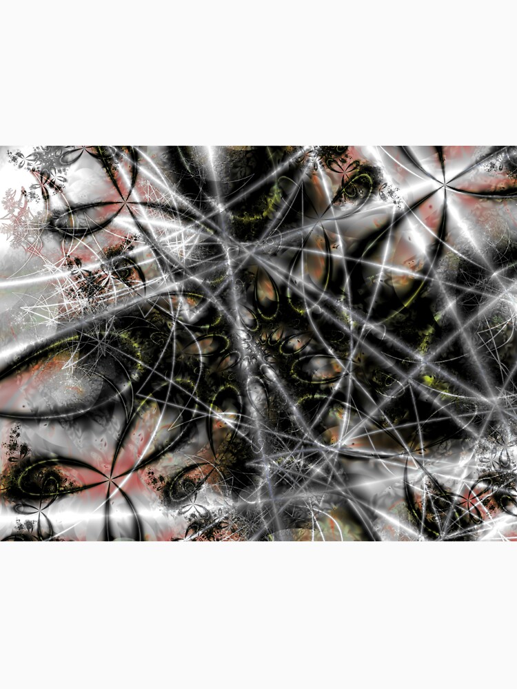 Spider Web by garretbohl