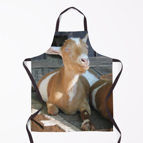 Item preview, Smiling Goat designed and sold by Autumn Seas Photography.
