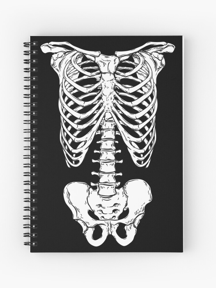 skelly 𖤐 on X: i h8 having a wide rib cage like the potential is