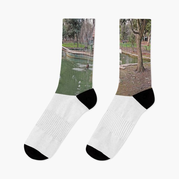 Item preview, Viareggio West Pineta Park 6 - Tuscany - Italy  designed and sold by MG-Photo.
