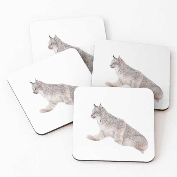 Item preview, Canada Lynx Kitten designed and sold by mlorenz.