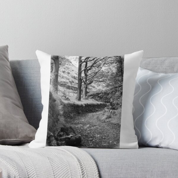 Item preview, Mystery lane  designed and sold by CallumDT.