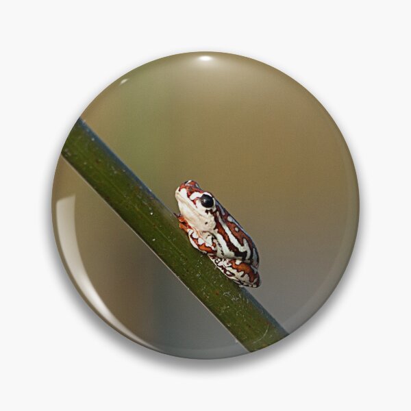 Item preview, Bell Frog designed and sold by Marylou Badeaux.