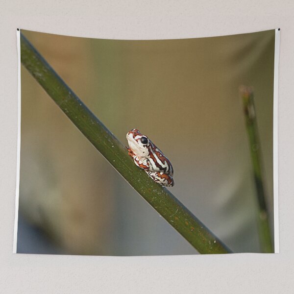 Item preview, Bell Frog designed and sold by Marylou Badeaux.