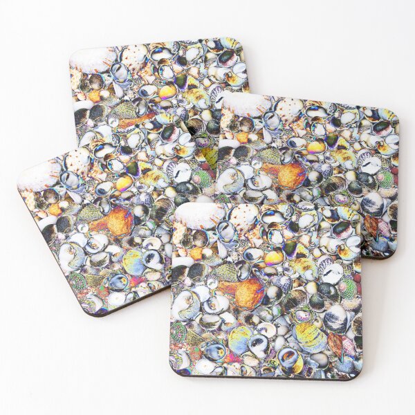 Shells Photography Coasters (Set of 4)