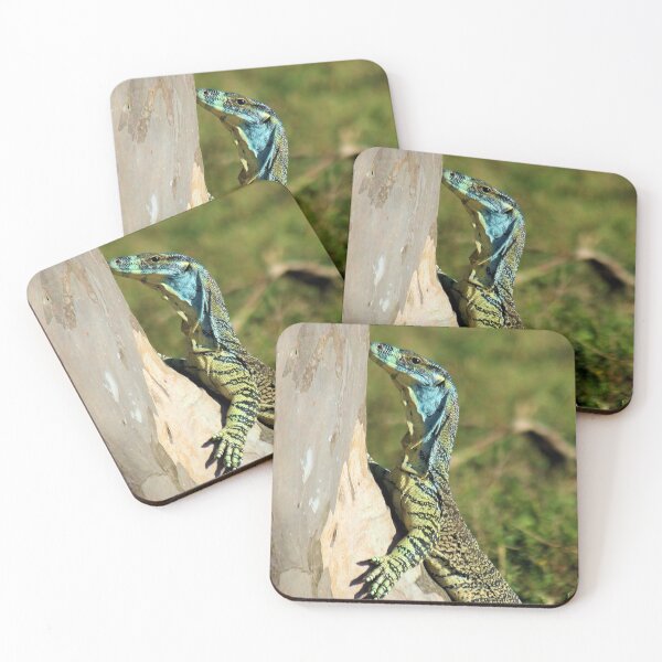 Item preview, Australian lace monitor designed and sold by CazDPhotos.