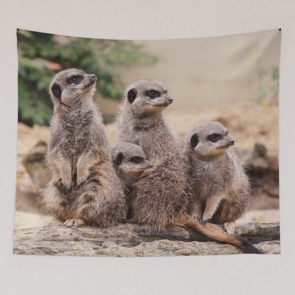 Item preview, Meerkat family designed and sold by Milanicole.