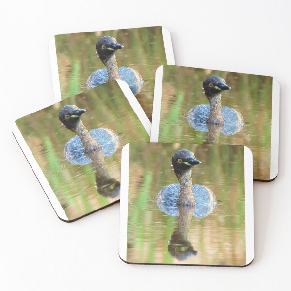 Item preview, Australasian grebe, Australia designed and sold by CazDPhotos.