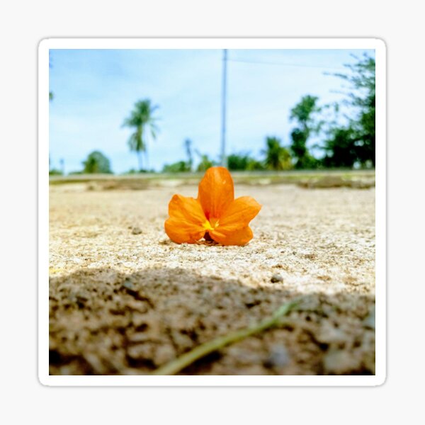 Item preview, Fallen Orange Flower on the Road designed and sold by Luxxe87.