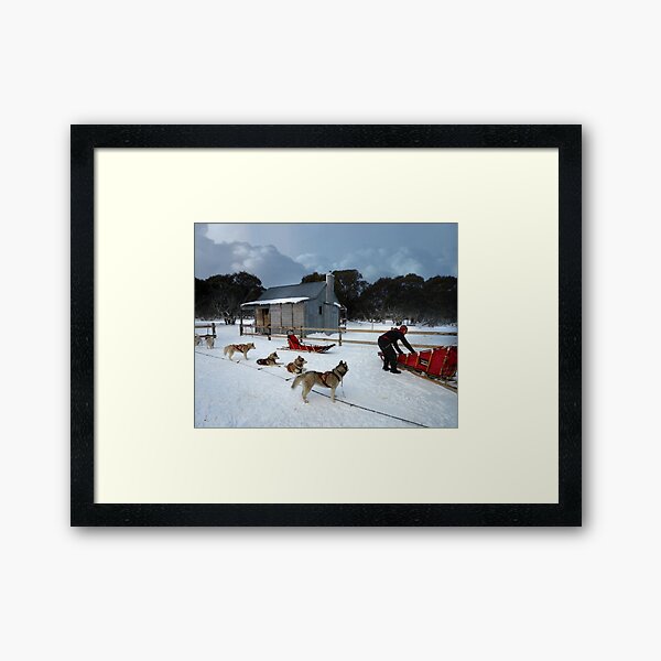 anticipation Framed Art Print