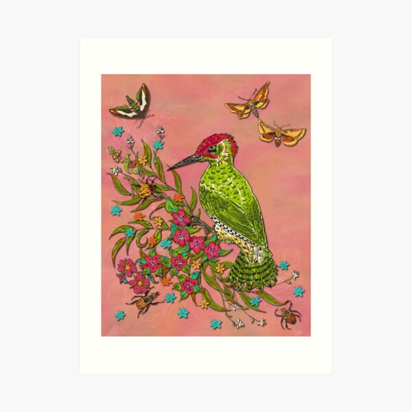 Floral Woodpecker Art Print