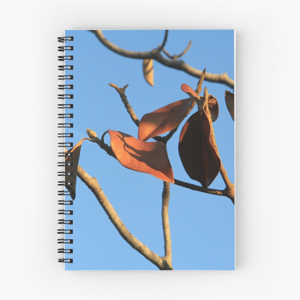 Item preview, Spiral Notebook designed and sold by VickyVilla.