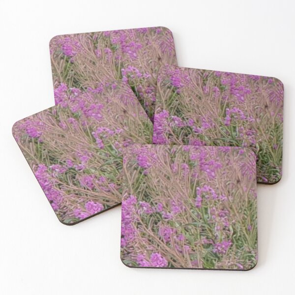 Item preview, Alpine wildflowers. Some purple along the TMB designed and sold by JellyBeenzz.
