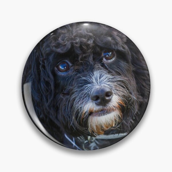 Item preview, Puppy Eyes designed and sold by Jane Stanley Photography.