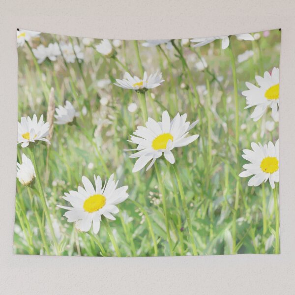 Aperçu de l'œuvre Joyeuses marguerites d'été créée et vendue par Bobfreckle.