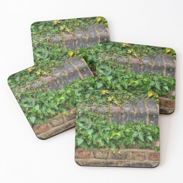 Item preview, Ivy on a bricks bridge designed and sold by laurentlesax.