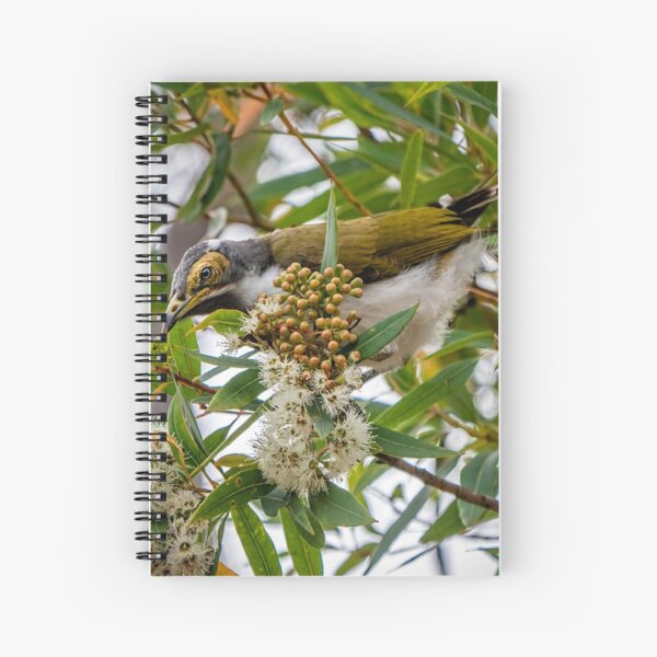 Item preview, Honeyeater 3 designed and sold by sandraanderson.