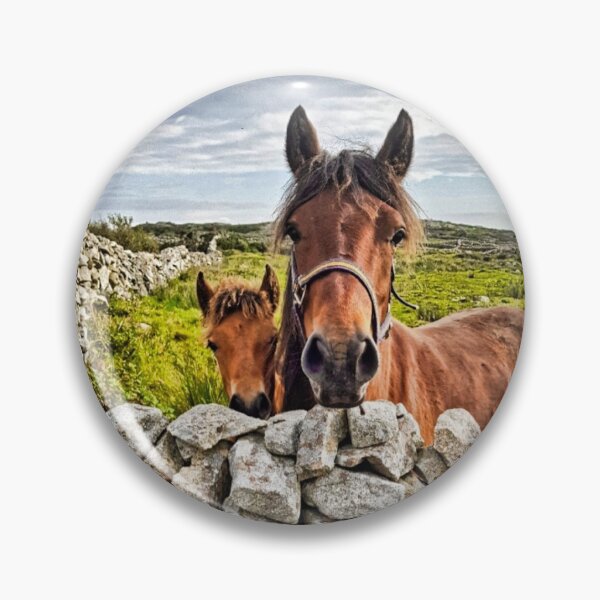 Aperçu de l'œuvre Poneys du Connemara créée et vendue par Johanna O Malley.