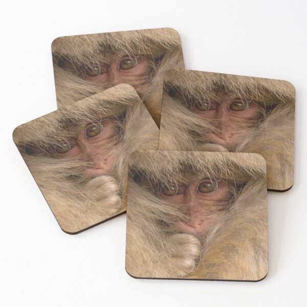 Item preview, Safe designed and sold by tigerfast.