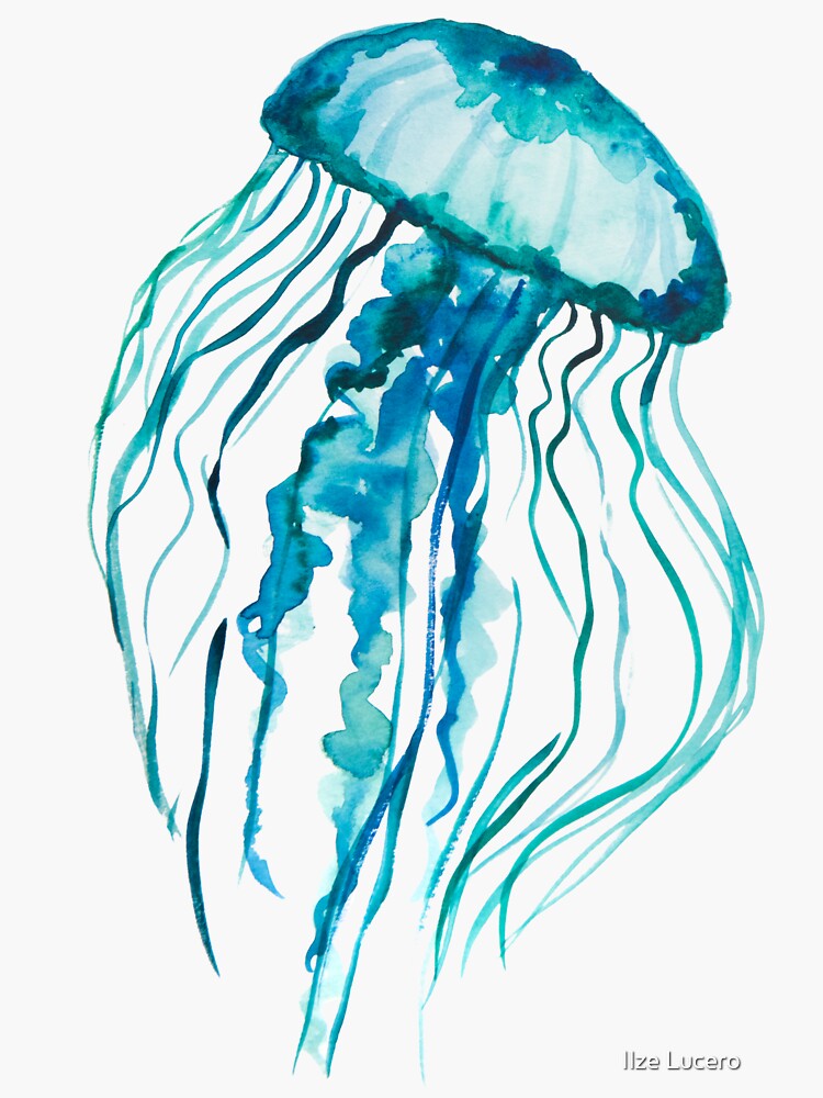 Watercolor Jellyfish by ilzesgimene
