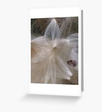 Truth Inside Greeting Card