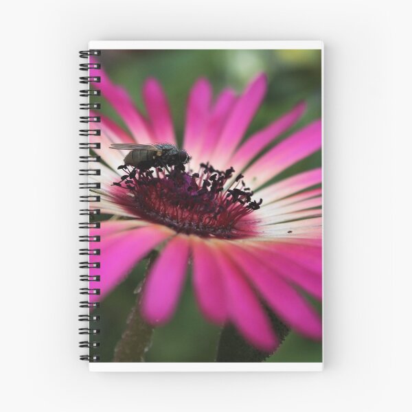 Aperçu de l'œuvre Voler sur une marguerite créée et vendue par CloverleafArts.
