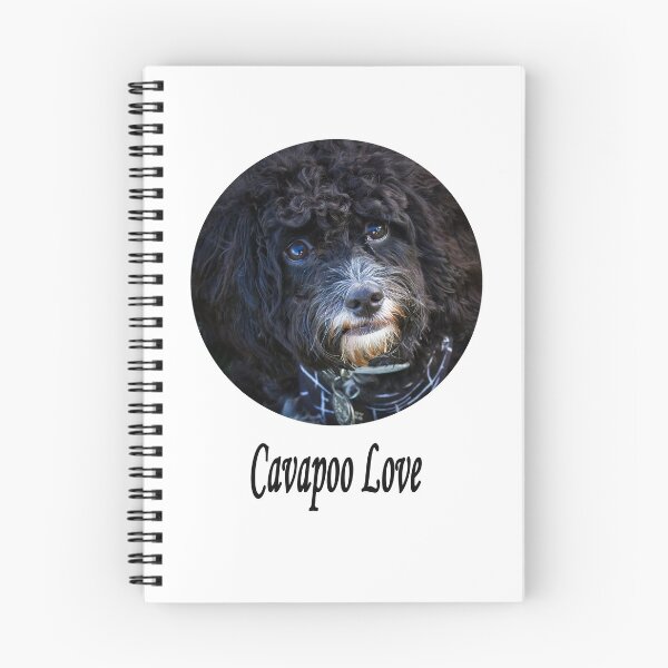 Item preview, Cavapoo Love designed and sold by Jane Stanley Photography.