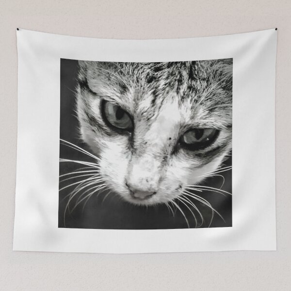 Item preview, Close up Cat Photo designed and sold by Luxxe87.