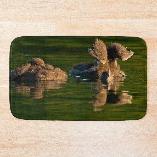 Item preview, Loon Chick 7 designed and sold by Loon-Images.