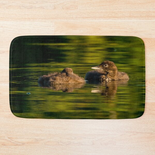 Item preview, Loon Chick 6 designed and sold by Loon-Images.