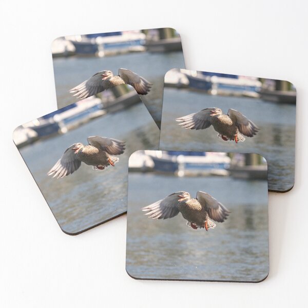 Item preview, Duck! designed and sold by GreyFeatherPhot.
