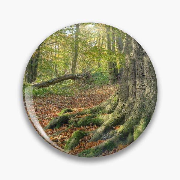 Artikelvorschau, Lickey Hills, Worcestershire entworfen und verkauft von andrewroland.