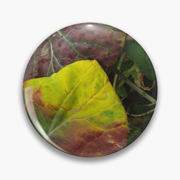 Item preview, Brassica Fairy Garden designed and sold by MeyrellesMartin.