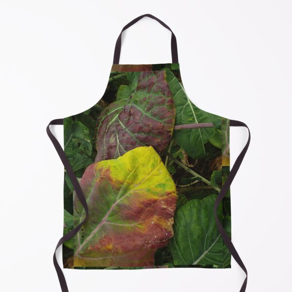 Item preview, Brassica Fairy Garden designed and sold by MeyrellesMartin.