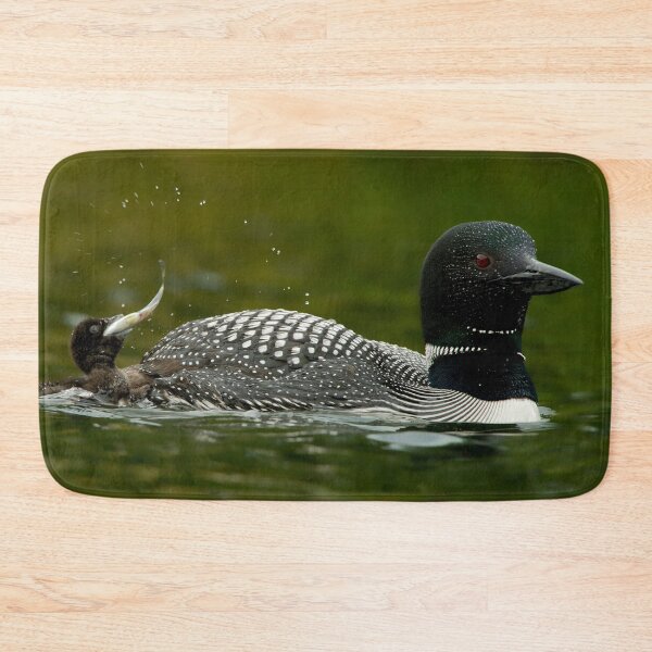 Item preview, Common Loon And Chick designed and sold by Loon-Images.