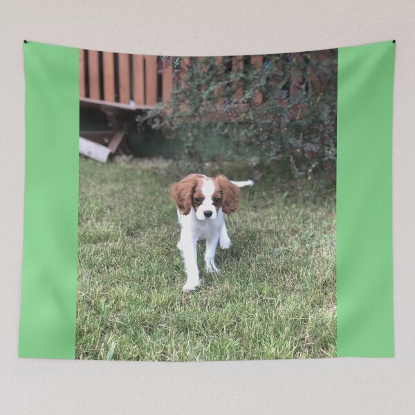 Item preview, Cute Cavalier Puppy Dog designed and sold by Kaullo.