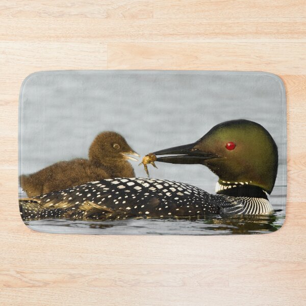 Item preview, Common Loon And Chick designed and sold by Loon-Images.