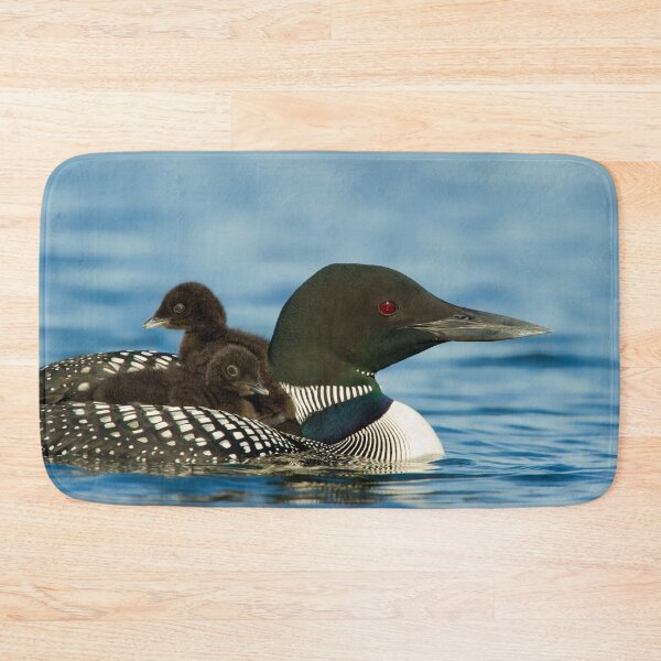 Item preview, Common Loon And Chick designed and sold by Loon-Images.