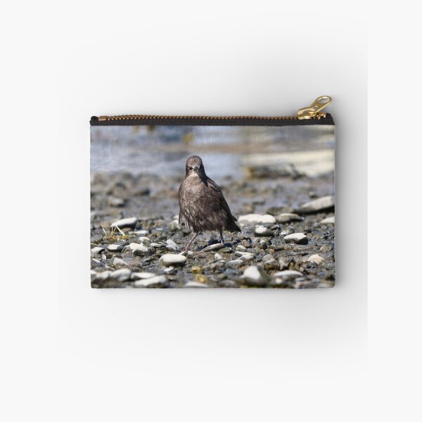 Item preview, Baby starling with attitude designed and sold by GreyFeatherPhot.