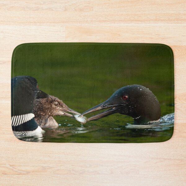 Item preview, Common Loon And Chick designed and sold by Loon-Images.