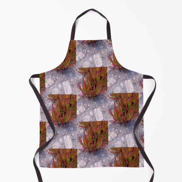 Item preview, Blush Succulent designed and sold by MeyrellesMartin.