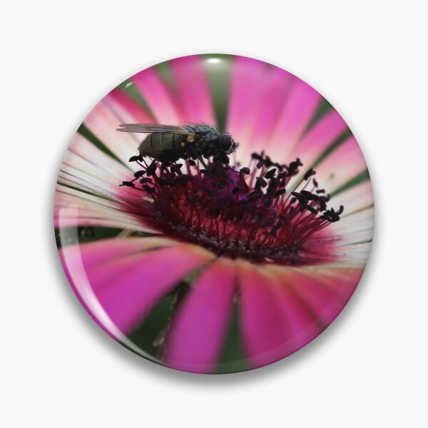 Item preview, Fly on a Daisy designed and sold by CloverleafArts.