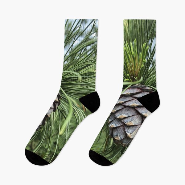 Item preview, Nice pine cone  designed and sold by Kaullo.