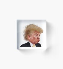 Donald Trump Funny Meme Acrylic Block