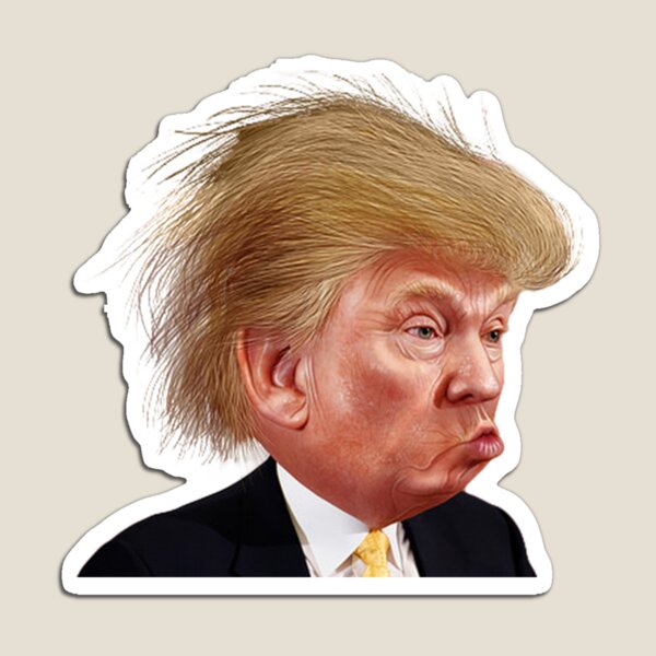 Donald Trump Funny Meme Magnet