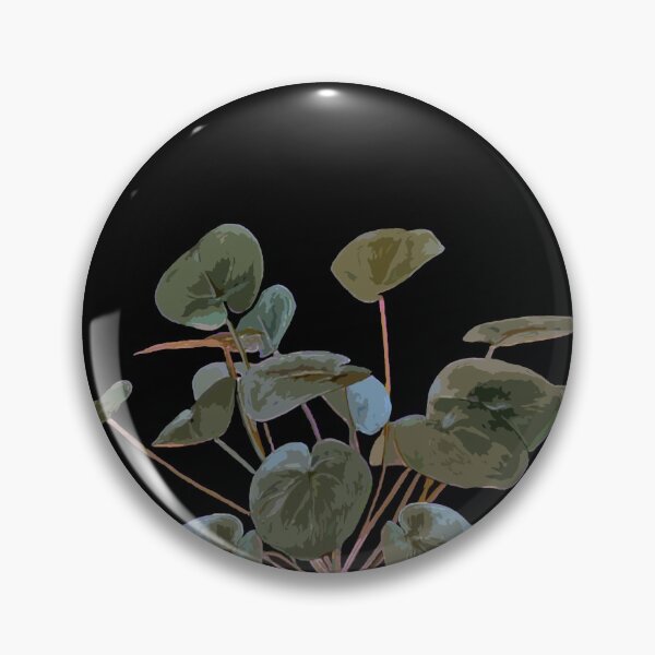 Item preview, Pilea plant in black designed and sold by beamorello.