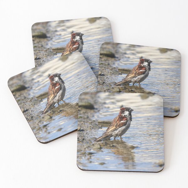 Item preview, Reflection designed and sold by GreyFeatherPhot.